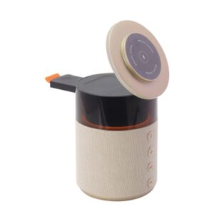 FOREVER SUNDAY 5-in-1 Multifunctional Speaker Charging Station
